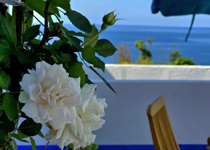 Cantinho Da Quinta Apartment