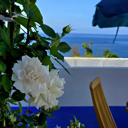 Cantinho Da Quinta Apartment